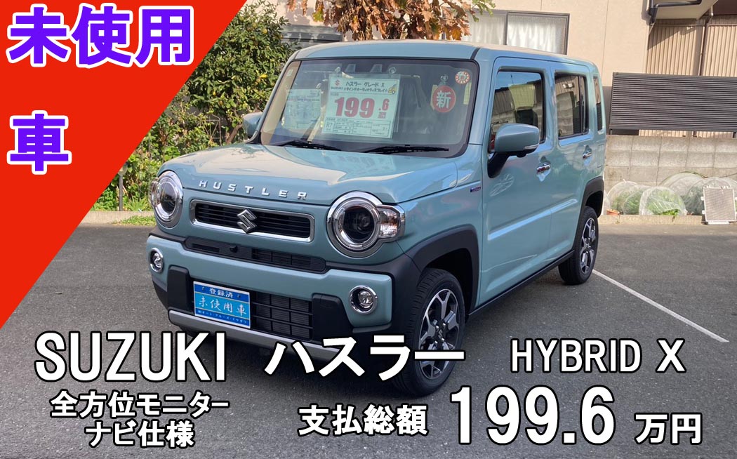 サンプルイメージ